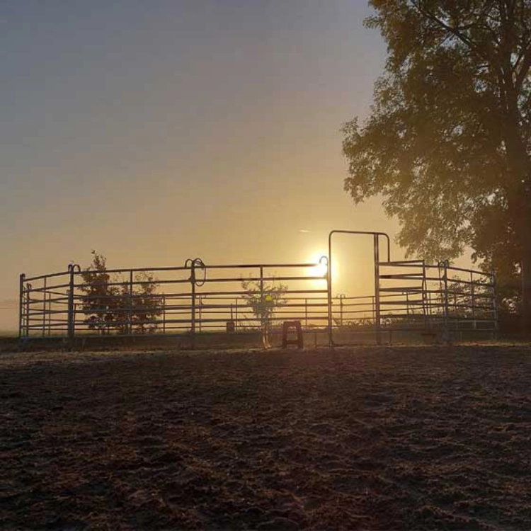 Valerie Maereovoet - Unterricht am Stall