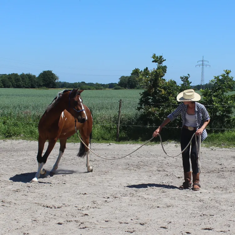 Valerie Maereovoet - Pferd und Reiter werden eine Einheit