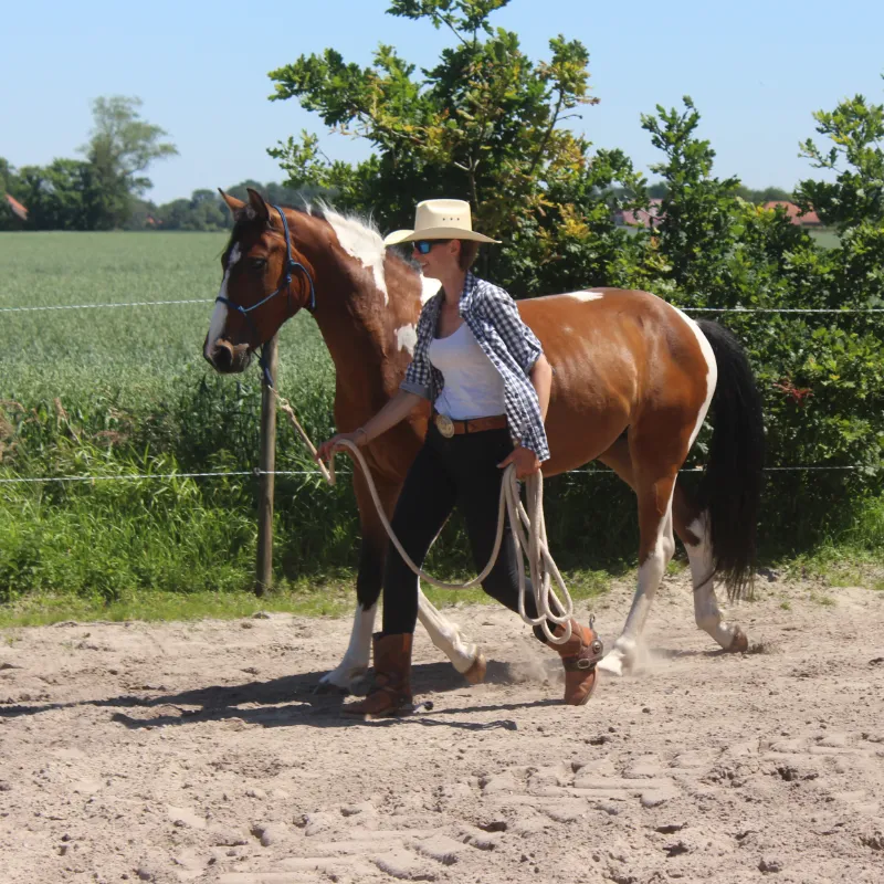 Valerie Maerevoet, Pferdetrainerin